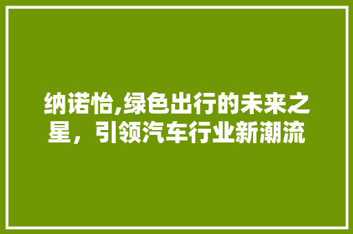 纳诺怡,绿色出行的未来之星，引领汽车行业新潮流