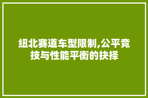 纽北赛道车型限制,公平竞技与性能平衡的抉择