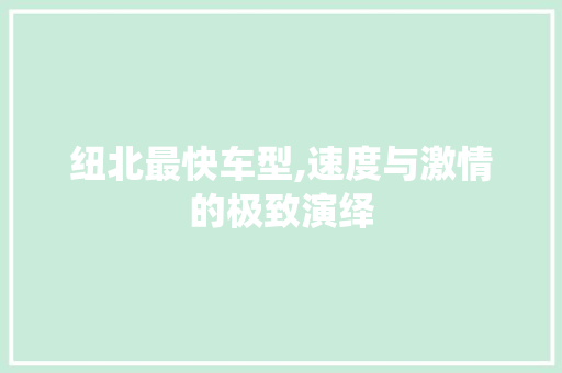 纽北最快车型,速度与激情的极致演绎