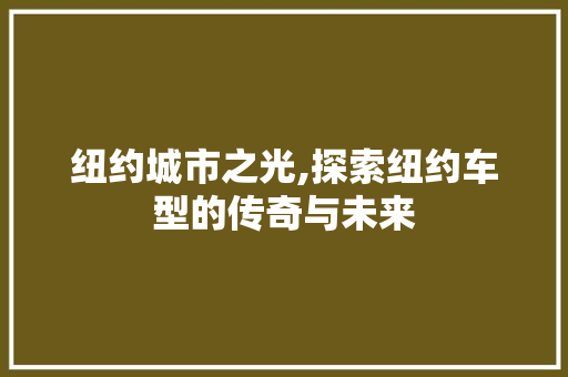 纽约城市之光,探索纽约车型的传奇与未来