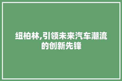 纽柏林,引领未来汽车潮流的创新先锋
