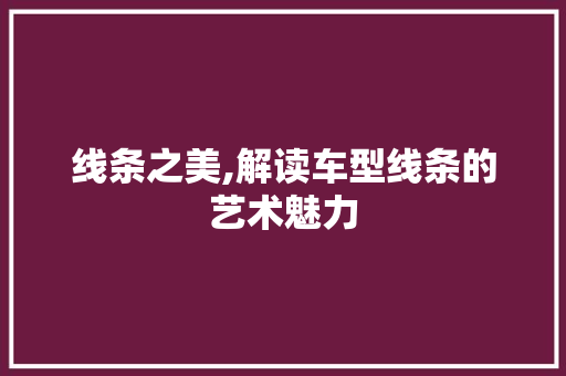 线条之美,解读车型线条的艺术魅力