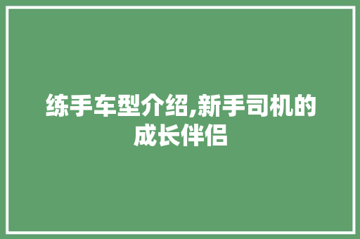 练手车型介绍,新手司机的成长伴侣