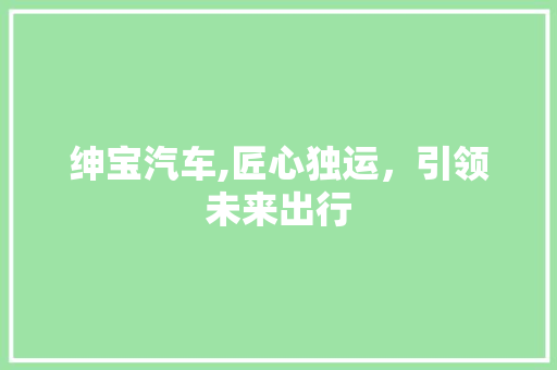 绅宝汽车,匠心独运，引领未来出行