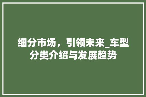 细分市场，引领未来_车型分类介绍与发展趋势