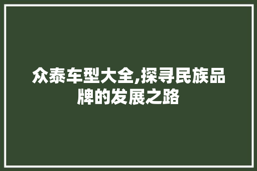 众泰车型大全,探寻民族品牌的发展之路 车身配件