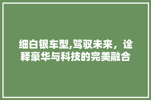 细白银车型,驾驭未来，诠释豪华与科技的完美融合
