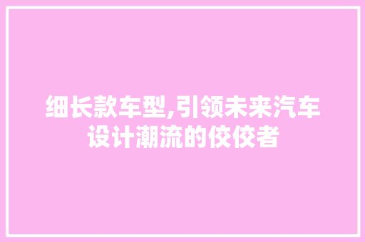 细长款车型,引领未来汽车设计潮流的佼佼者
