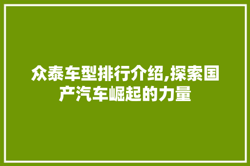 众泰车型排行介绍,探索国产汽车崛起的力量 蓄电池配件
