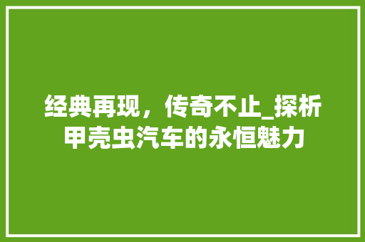 经典再现，传奇不止_探析甲壳虫汽车的永恒魅力