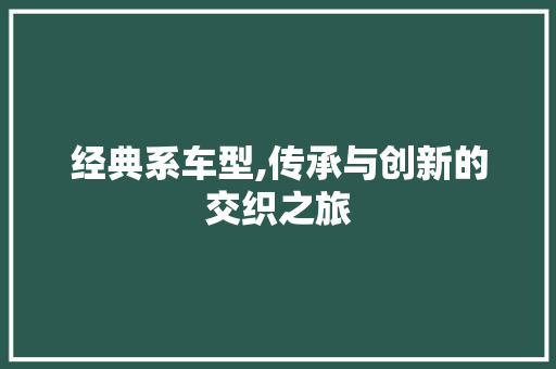 经典系车型,传承与创新的交织之旅