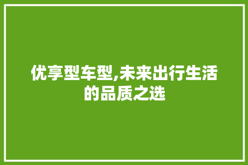 优享型车型,未来出行生活的品质之选