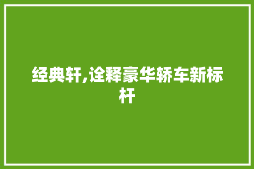 经典轩,诠释豪华轿车新标杆
