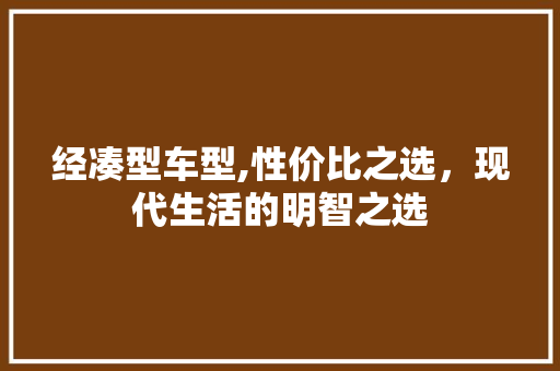 经凑型车型,性价比之选，现代生活的明智之选