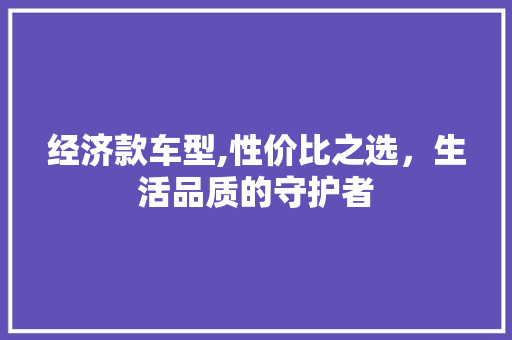 经济款车型,性价比之选，生活品质的守护者