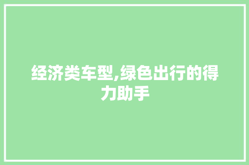 经济类车型,绿色出行的得力助手