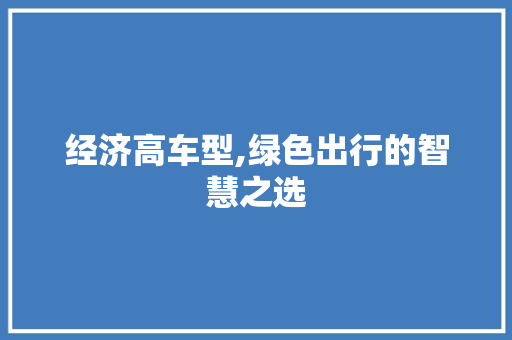 经济高车型,绿色出行的智慧之选
