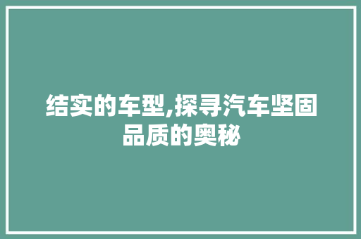 结实的车型,探寻汽车坚固品质的奥秘