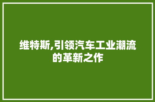 维特斯,引领汽车工业潮流的革新之作