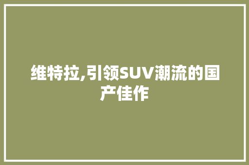 维特拉,引领SUV潮流的国产佳作