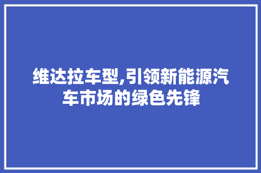 维达拉车型,引领新能源汽车市场的绿色先锋