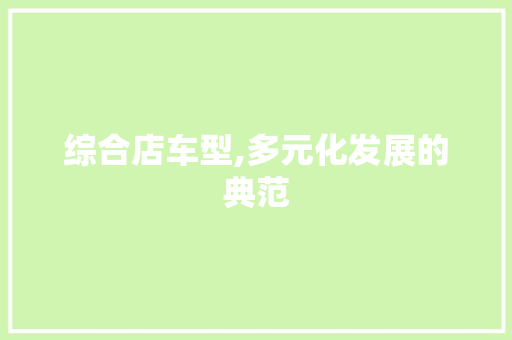 综合店车型,多元化发展的典范