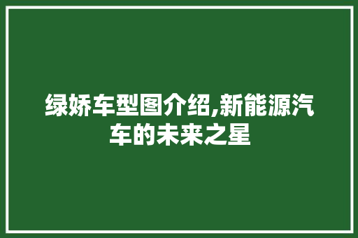 绿娇车型图介绍,新能源汽车的未来之星