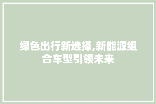 绿色出行新选择,新能源组合车型引领未来