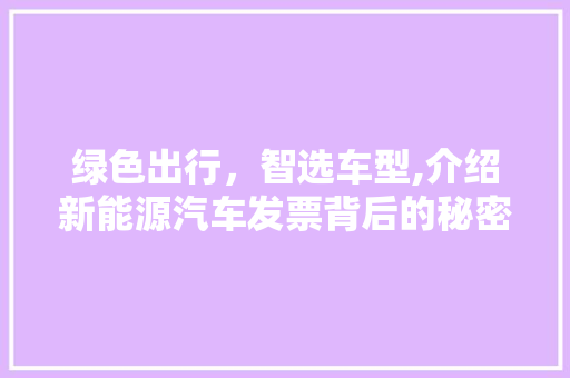 绿色出行，智选车型,介绍新能源汽车发票背后的秘密