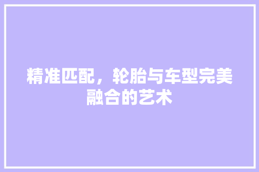 精准匹配，轮胎与车型完美融合的艺术 车灯配件