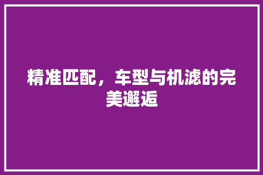 精准匹配，车型与机滤的完美邂逅 发动机配件