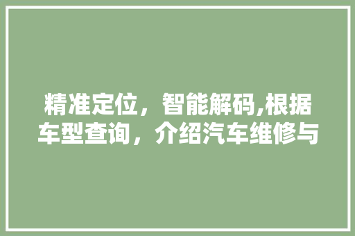 精准定位，智能解码,根据车型查询，介绍汽车维修与养护新篇章