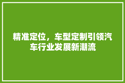 精准定位，车型定制引领汽车行业发展新潮流