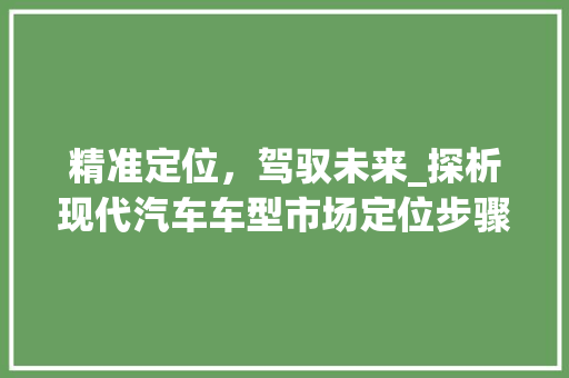 精准定位，驾驭未来_探析现代汽车车型市场定位步骤