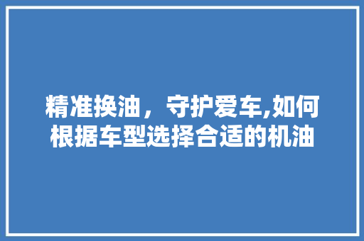 精准换油，守护爱车,如何根据车型选择合适的机油