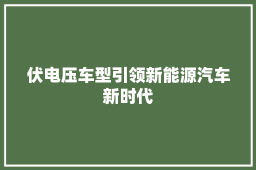 伏电压车型引领新能源汽车新时代