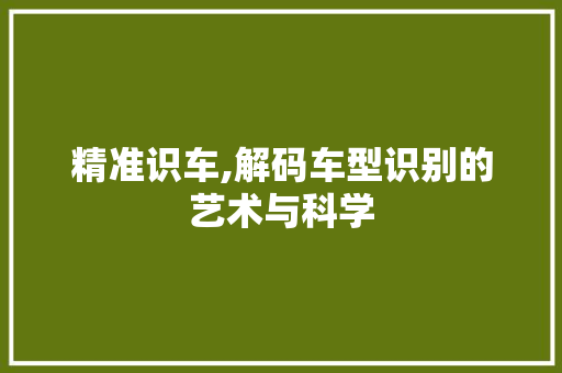 精准识车,解码车型识别的艺术与科学