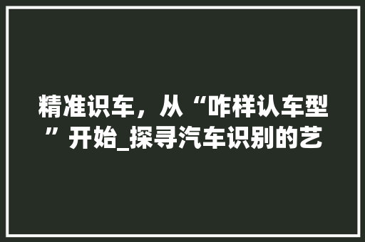 精准识车，从“咋样认车型”开始_探寻汽车识别的艺术