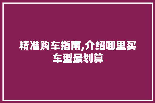 精准购车指南,介绍哪里买车型最划算