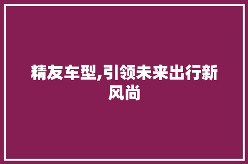 精友车型,引领未来出行新风尚