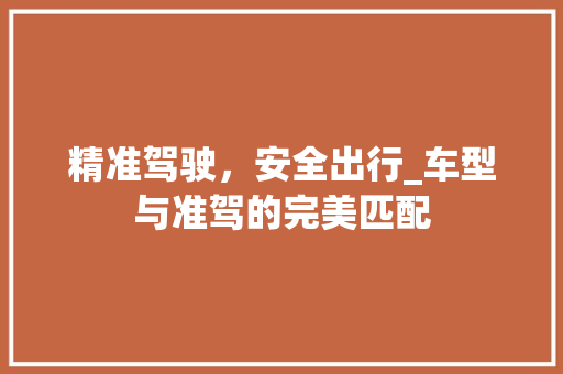 精准驾驶，安全出行_车型与准驾的完美匹配