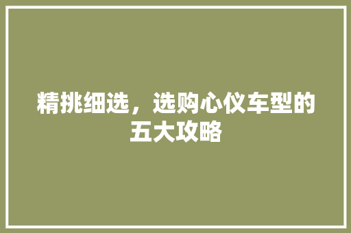 精挑细选，选购心仪车型的五大攻略