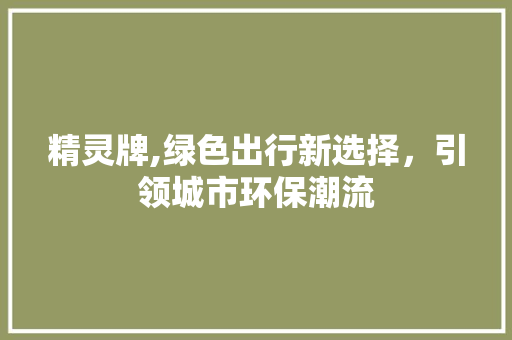精灵牌,绿色出行新选择，引领城市环保潮流