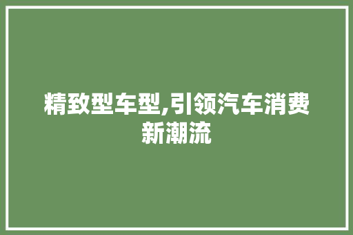 精致型车型,引领汽车消费新潮流
