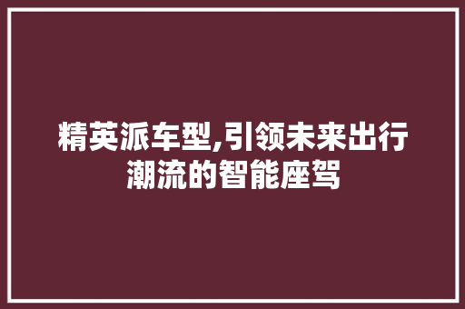 精英派车型,引领未来出行潮流的智能座驾