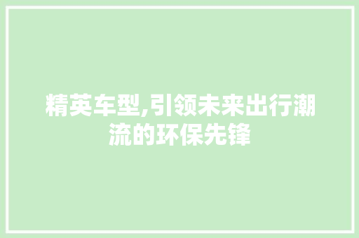 精英车型,引领未来出行潮流的环保先锋