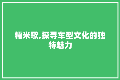 糯米歌,探寻车型文化的独特魅力