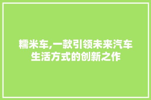 糯米车,一款引领未来汽车生活方式的创新之作