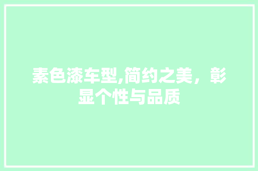素色漆车型,简约之美，彰显个性与品质
