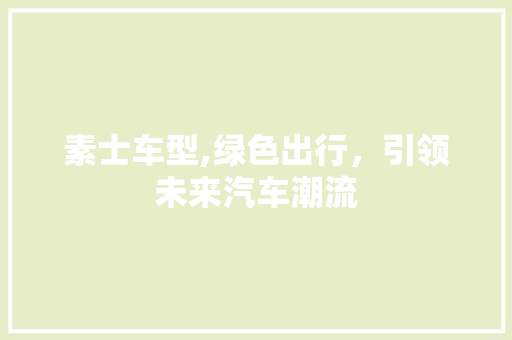 素士车型,绿色出行，引领未来汽车潮流